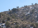 photo thumbnail #12