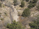 photo thumbnail #14