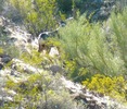 photo thumbnail #12