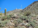 photo thumbnail #13