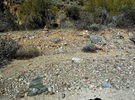 photo thumbnail #14