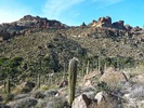 photo thumbnail #7