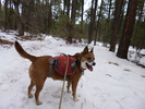 photo thumbnail #3