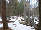 photo thumbnail #8