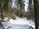 photo thumbnail #10