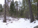 photo thumbnail #12