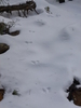 photo thumbnail #13