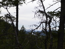 photo thumbnail #14