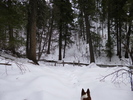 photo thumbnail #15