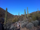 photo thumbnail #3