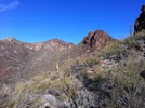 photo thumbnail #5