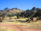 photo thumbnail #6