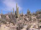 photo thumbnail #4