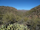 photo thumbnail #3
