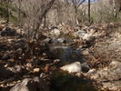 photo thumbnail #4