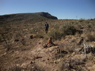 photo thumbnail #6