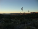 photo thumbnail #12