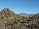 photo thumbnail #2