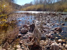 photo thumbnail #9