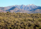 photo thumbnail #15