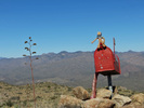 photo thumbnail #3