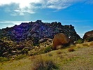 photo thumbnail #7