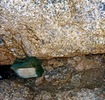 photo thumbnail #13