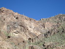 photo thumbnail #2