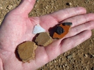 photo thumbnail #14