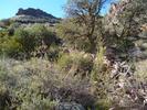 photo thumbnail #9