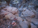 photo thumbnail #4
