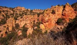 photo thumbnail #12