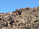 photo thumbnail #8