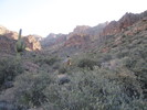 photo thumbnail #1