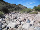photo thumbnail #10