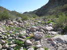 photo thumbnail #11