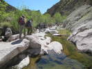 photo thumbnail #14