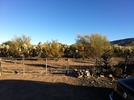 photo thumbnail #3
