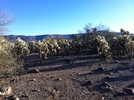 photo thumbnail #6