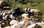 photo thumbnail #4