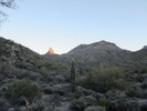photo thumbnail #9
