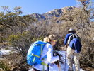 photo thumbnail #8