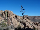photo thumbnail #4