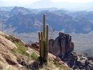 photo thumbnail #14