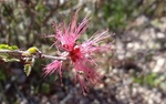 photo thumbnail #15