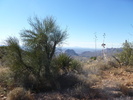photo thumbnail #9