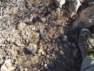 photo thumbnail #11