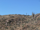 photo thumbnail #14