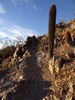 photo thumbnail #7