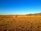 photo thumbnail #13